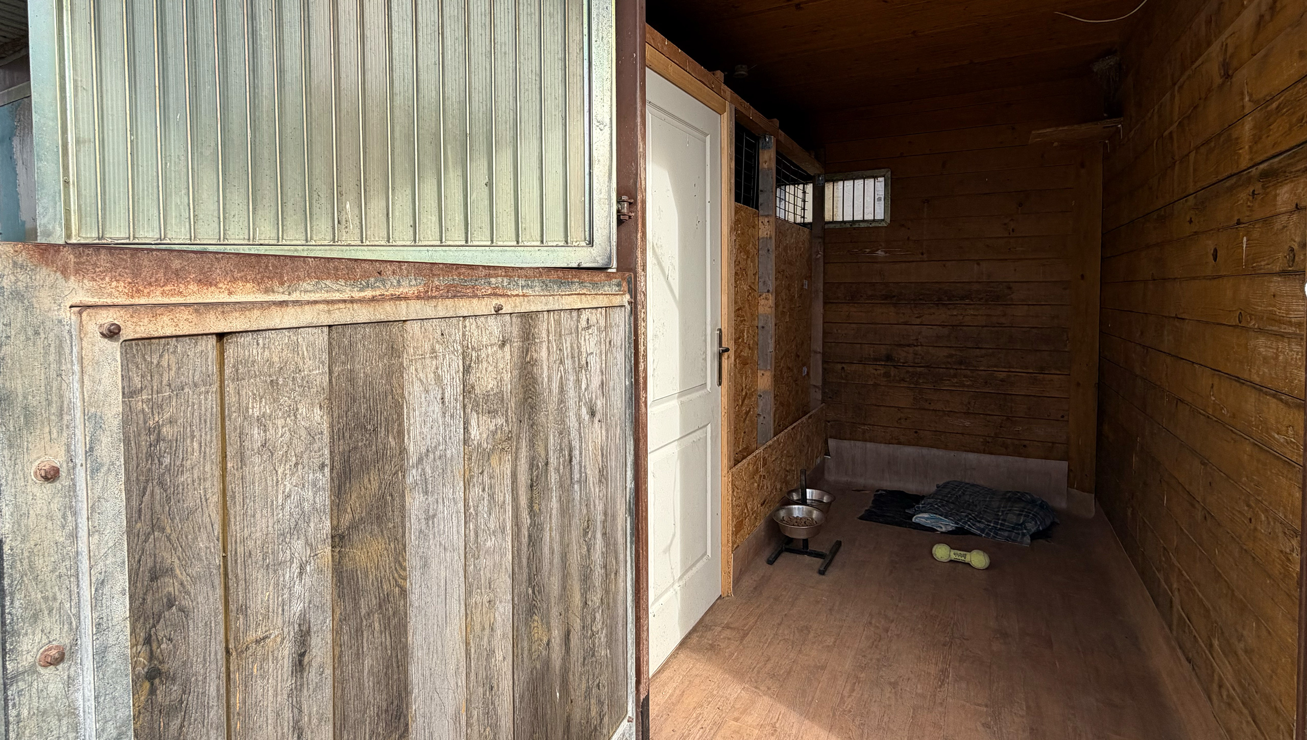 box-garde-chiens-lipsheim