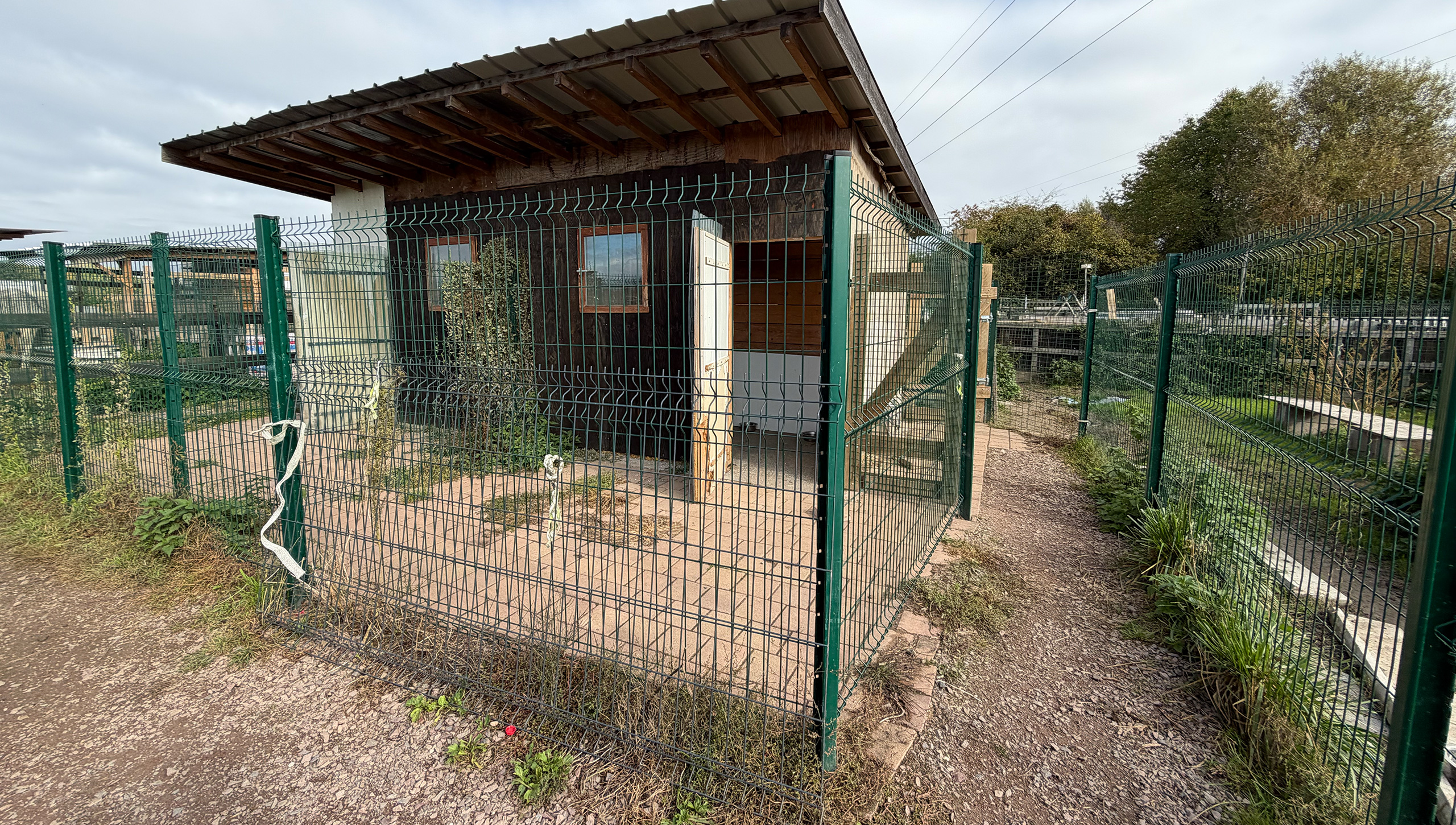 environnement-garde-chiens