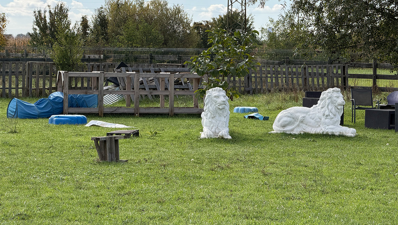 espace-bien-etre-chien