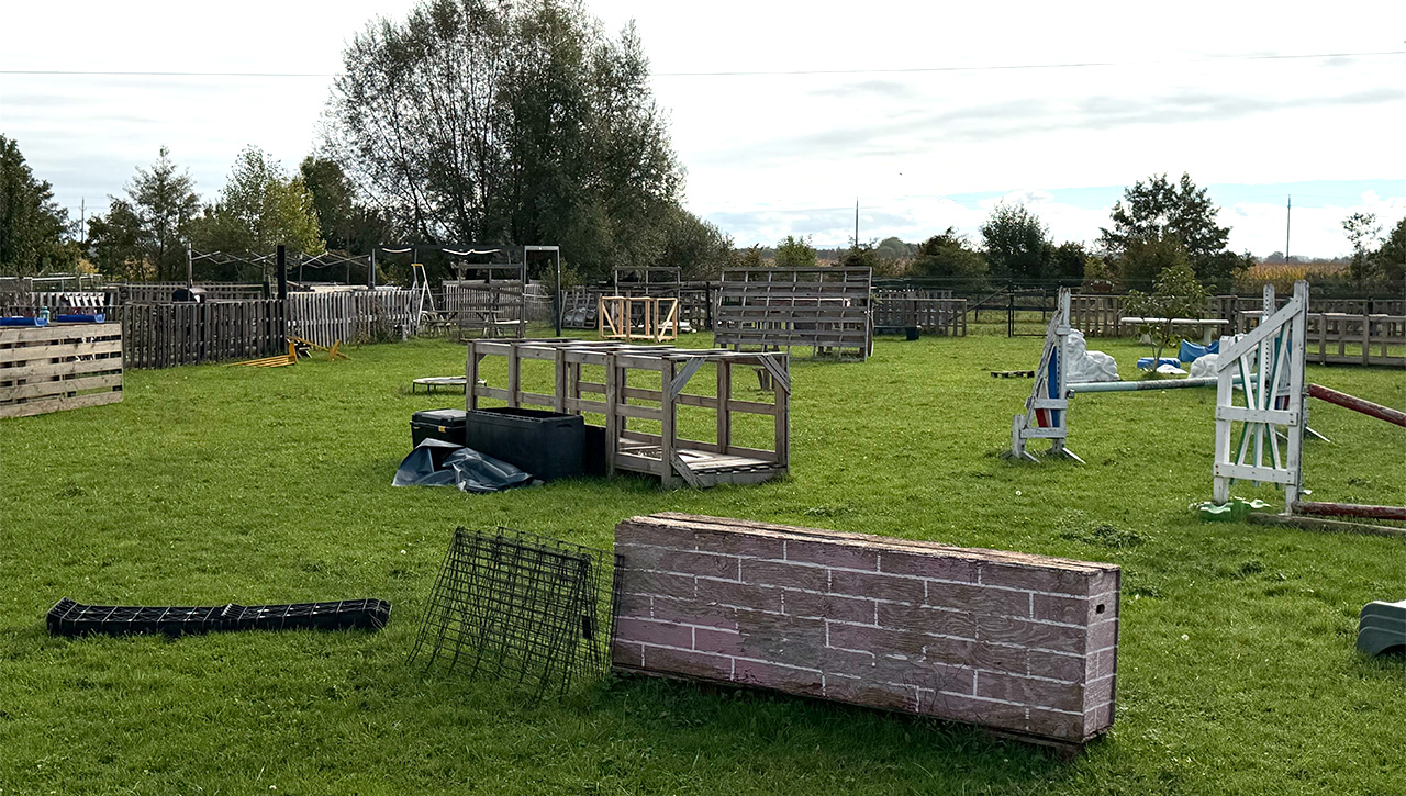 terrain-chiens-securise